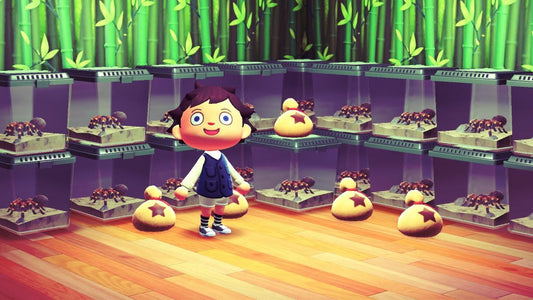 Tarantula King: Making millions of Bells in Animal Crossing New Horizons by Spawning Tarantulas at Will.